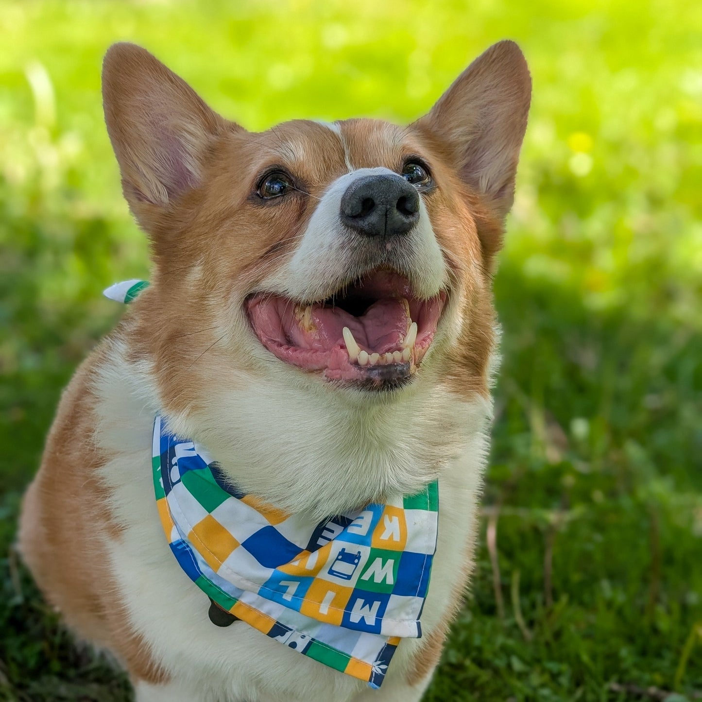 MCTS Print Bandana