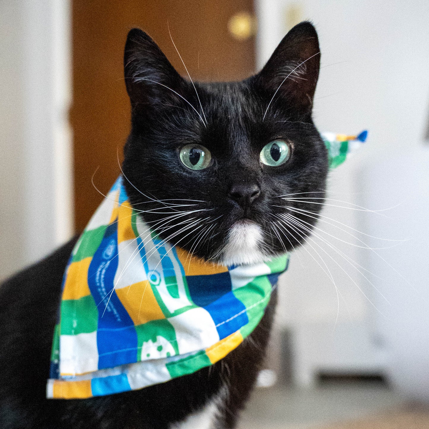 MCTS Print Bandana